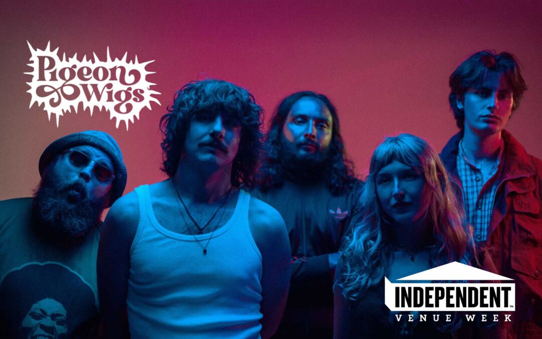 Pigeon Wigs + Support – The Vive