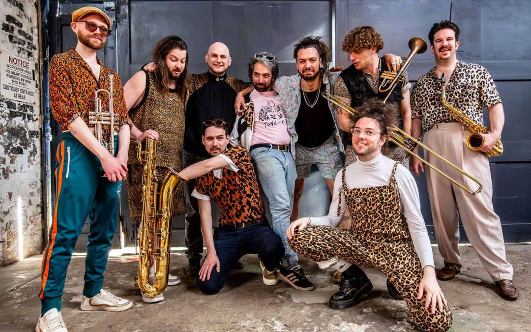 Town of Cats + Support