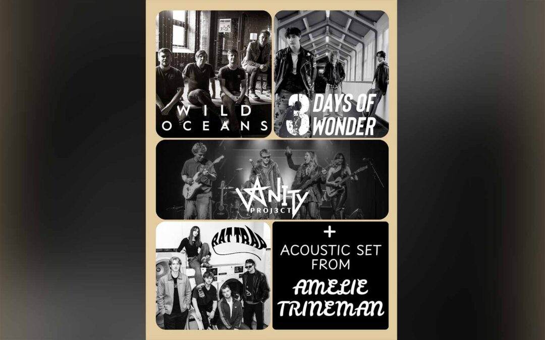 Fundraiser for MVT – FT. Wild Oceans + 3 Days Of Wonder + Vanity Project + Rat Trap + Amelie Turner